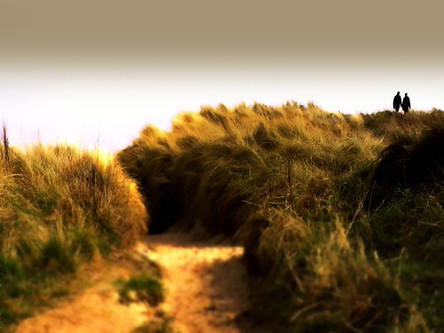 sanddunes | by Haley Redshaw