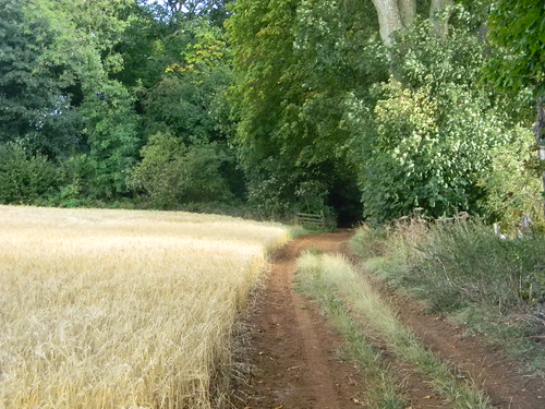 Field Moreton-in-Marsh Circular