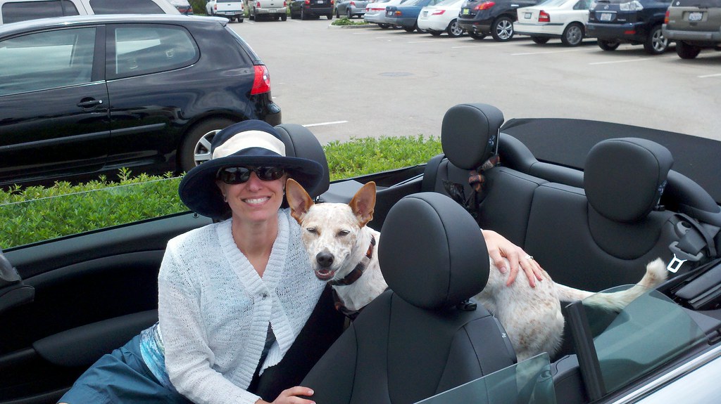 Meg and Rita Mae Out for a Drive | Our Mini was in the shop … | Flickr