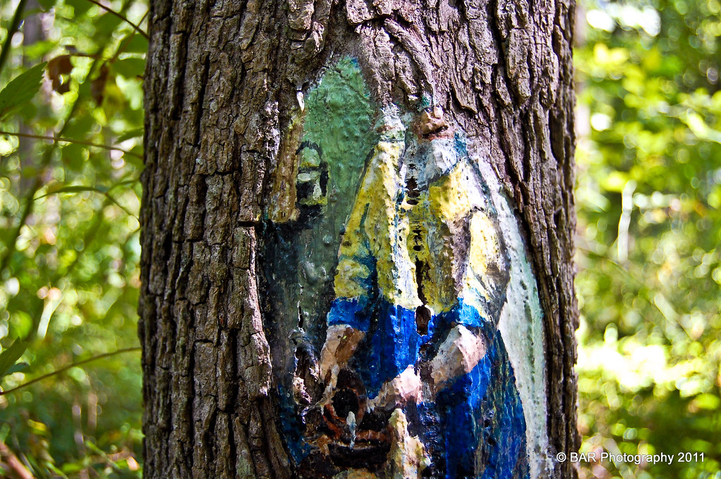 Annmarie Sculpture Garden Arts Center Paint On Tree Bar