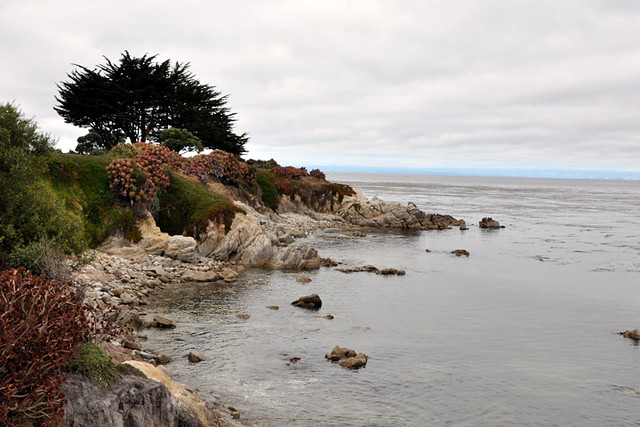 Monterey Bay.jpg