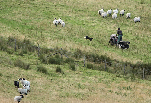 Modern shepherding, Oakenclough, Forest of Bowland near Scorton, Lancashire, UK by Ministry
