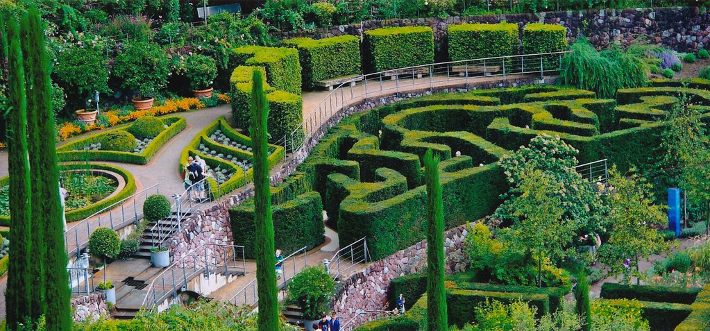 Topiary Maze at Trauttmansdorff, Italy
