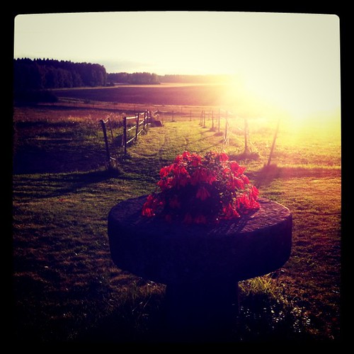 Ljuvlig kvällssol! by Johan Hedberg, @ Stäfre Gård <a href="http://4sq.com/p0TvwU" rel="nofollow">4sq.com/p0TvwU</a> (posted via FlickSqu