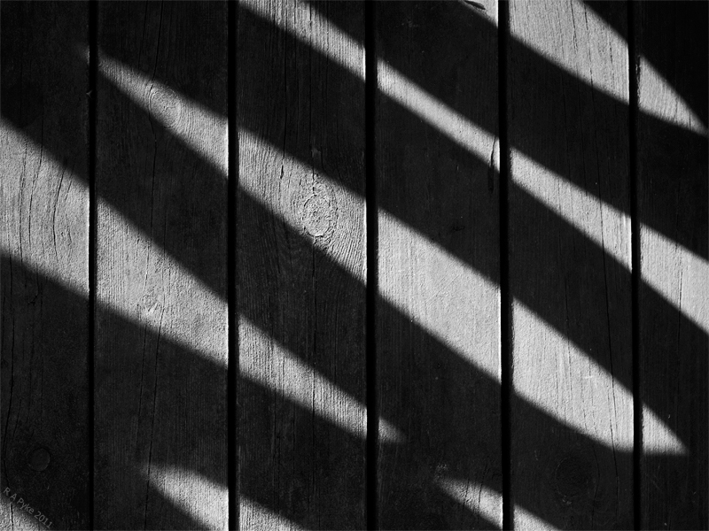 Morning shadows by R A Pyke (SweRon)