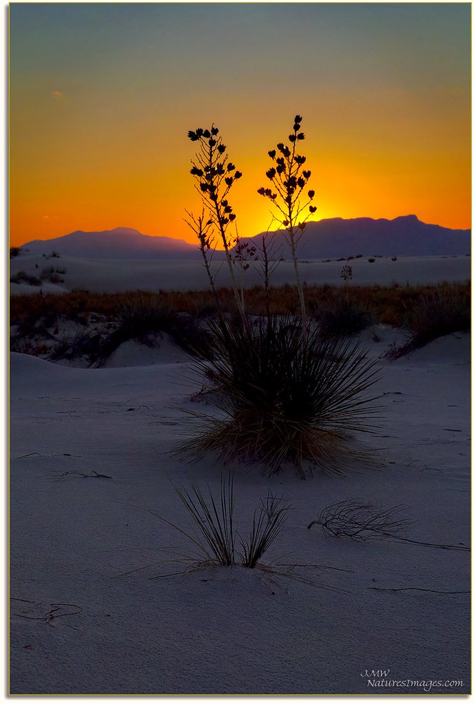 White Sands Nat.Mon.Sunset, NM by JMW Natures Images