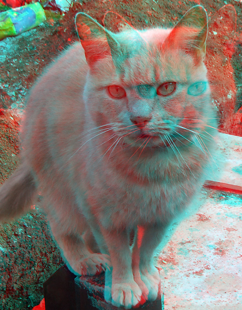 Cat D Anaglyph Red Blue Glasses To View Steve Woodmore Flickr