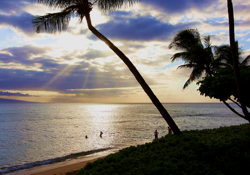 ocean vacation beach hawaii maui palmtree bobbyaycock deckplatephotography