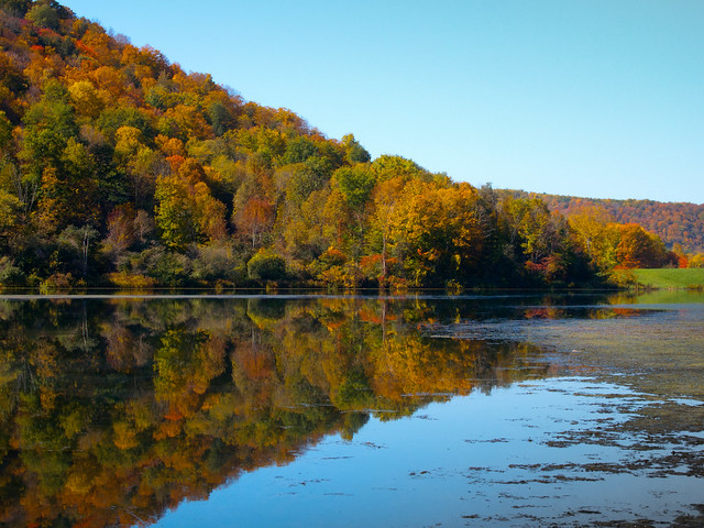 Fall Colours #8898, New Albion Lake, NY