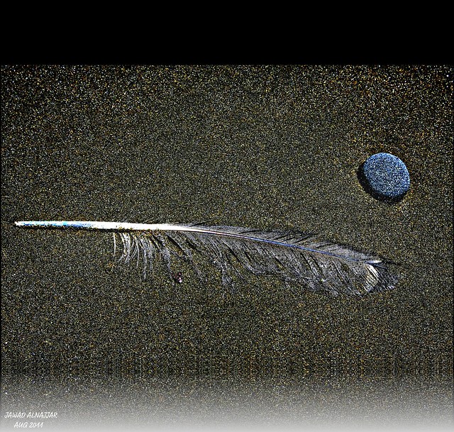 FEATHER, STONE, HOLDS BY OCIAN’S SAND.