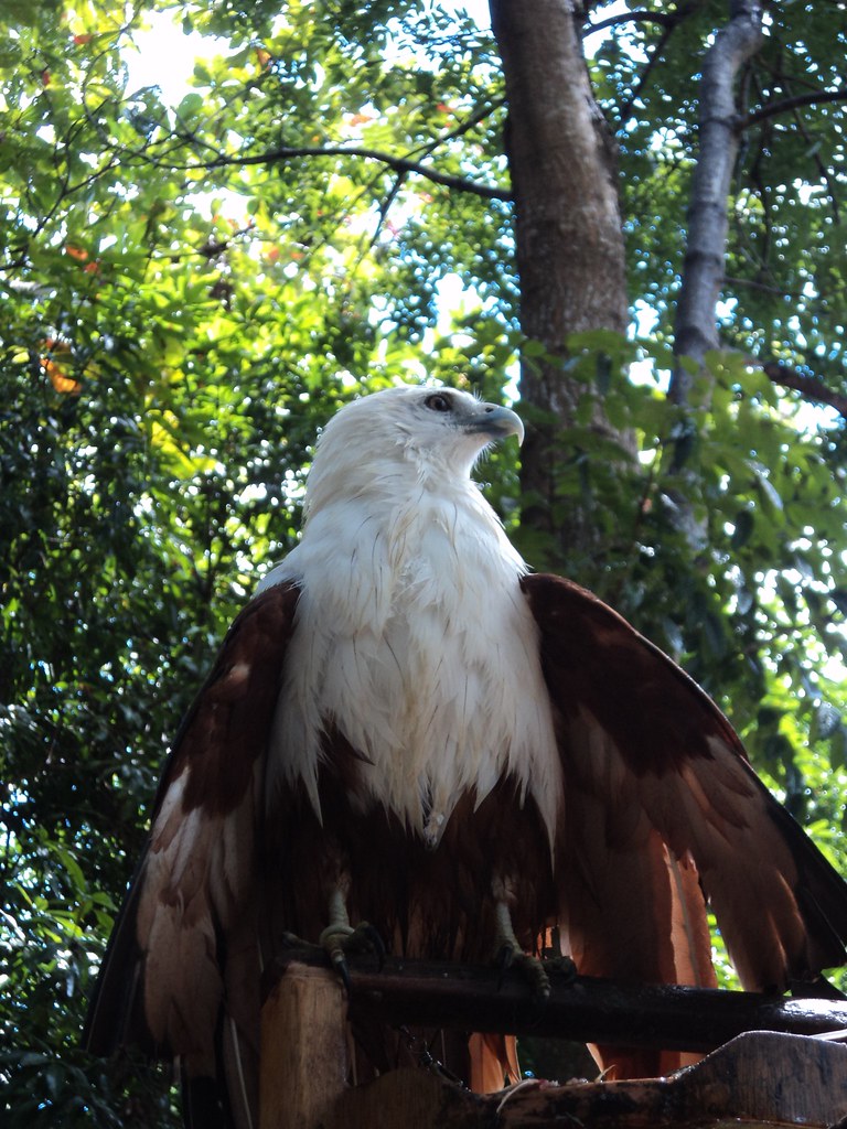 Argao Nature Park