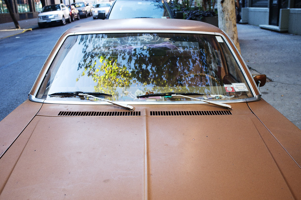 Brown hood and windshield of a vintage American car reflecting leafy autumn branches in New York City.