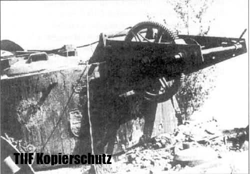 schwerer Sprengladungsträger Tiger Ausf. E (Sd.Kfz. 181)