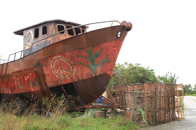Abandoned Boat Chatham Islands New Zealand
