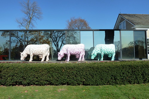 Samuel Buri's Des Vaches: Mo, Ni, Que (1971-1976)