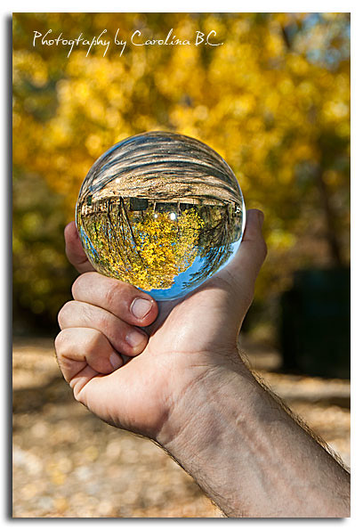 Capturant la tardor.... // Capturando el otoño ....