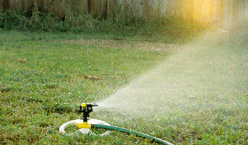 sprinkler photo