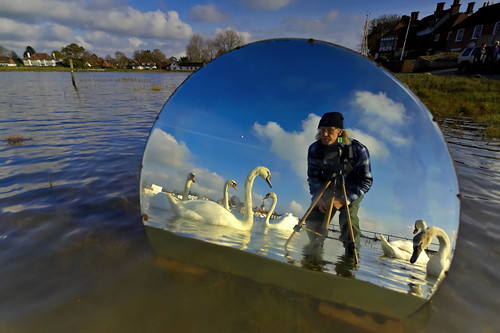 There Once Was An Ugly Duckling | by jakeof