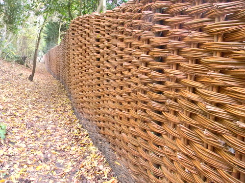 Striking fence A woven fence. What intrigued me was there were no obvious sections - suggesting it had been woven on site. Manningtree Circular