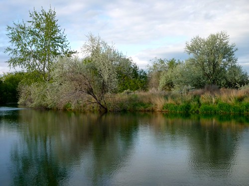 North Pond by gharness, Reflections in the North Pond, one of the Wilson Ponds near Nampa, Idaho. This is one of my favorite