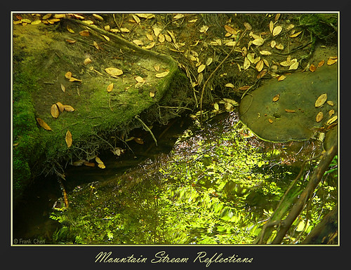 california light shadow usa sun mountain color reflection green art fall nature water colors leaves yellow rock creek reflections catchycolors leaf stream soft minolta vibrant ripple fineart falls special clear waterfalls handheld canopy softlight fallenleaves amazingcolors scattered bigbasinstatepark unitedstate interestingness99 i500 specnature artofnature specialview fcphoto sempervirenfalls abigfave explore02oct06