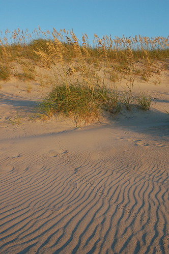 Sand Dunes | by pilz8