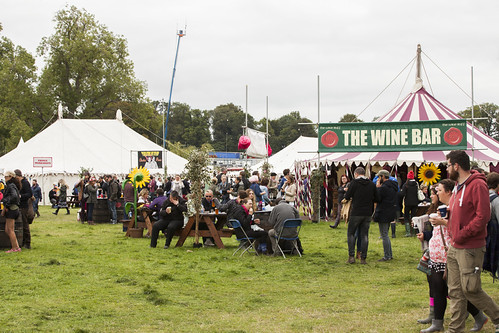 MindField at Electric Picnic 2015