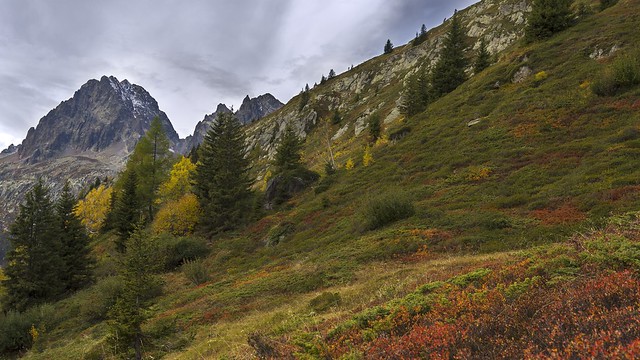 Fall colors from the mountains to the valley... Des sommets aux alpages couleurs d'automne...
