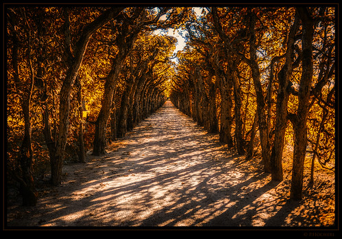 avenue by P.Höcherl, Einen Artikel mit weiteren Bildern der Eremitage gibts  <a href="http://blog.oberpfalzpanorama.de/?p