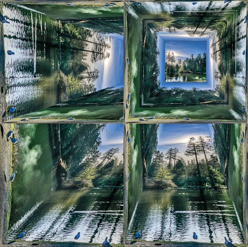 Pond Perspectives | by Don White (Burnaby)