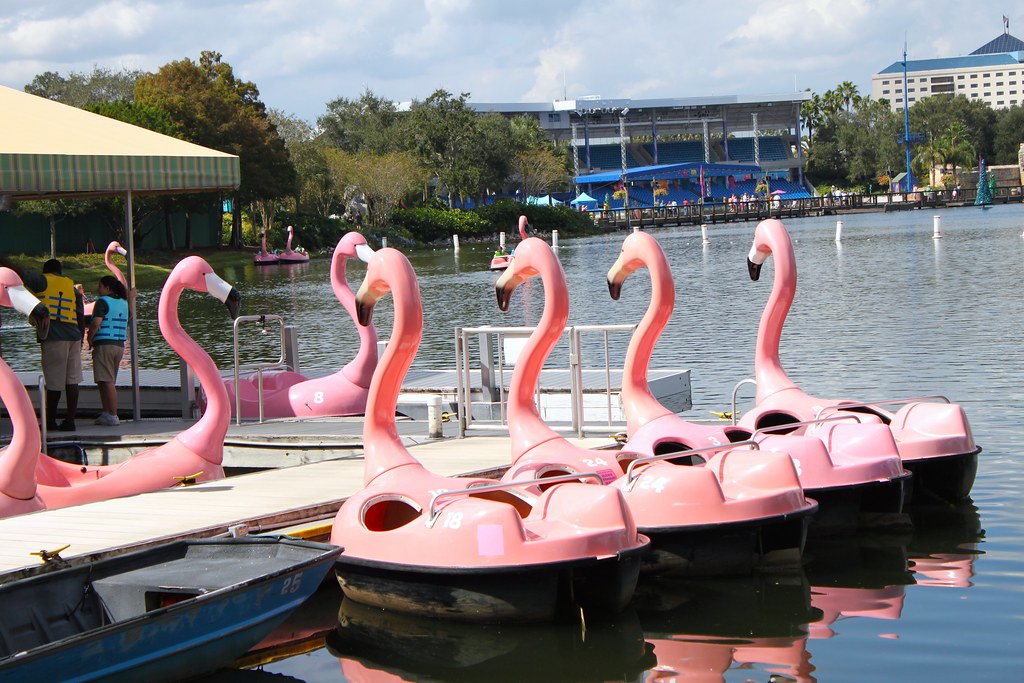 Flamingo Paddle Boats | Seals4Reals | Flickr