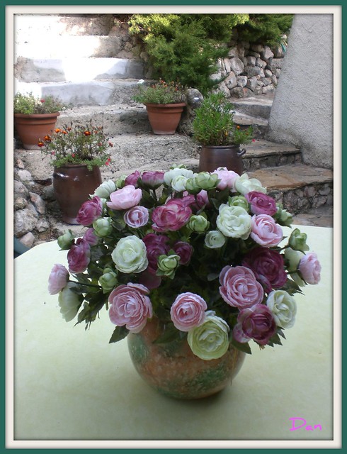 Provence - Bouquet éternel chez ma fille.