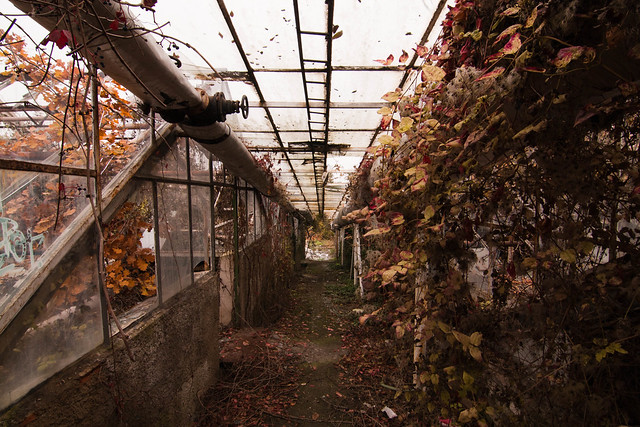 Strnadovy zahrady (abandoned gardens)