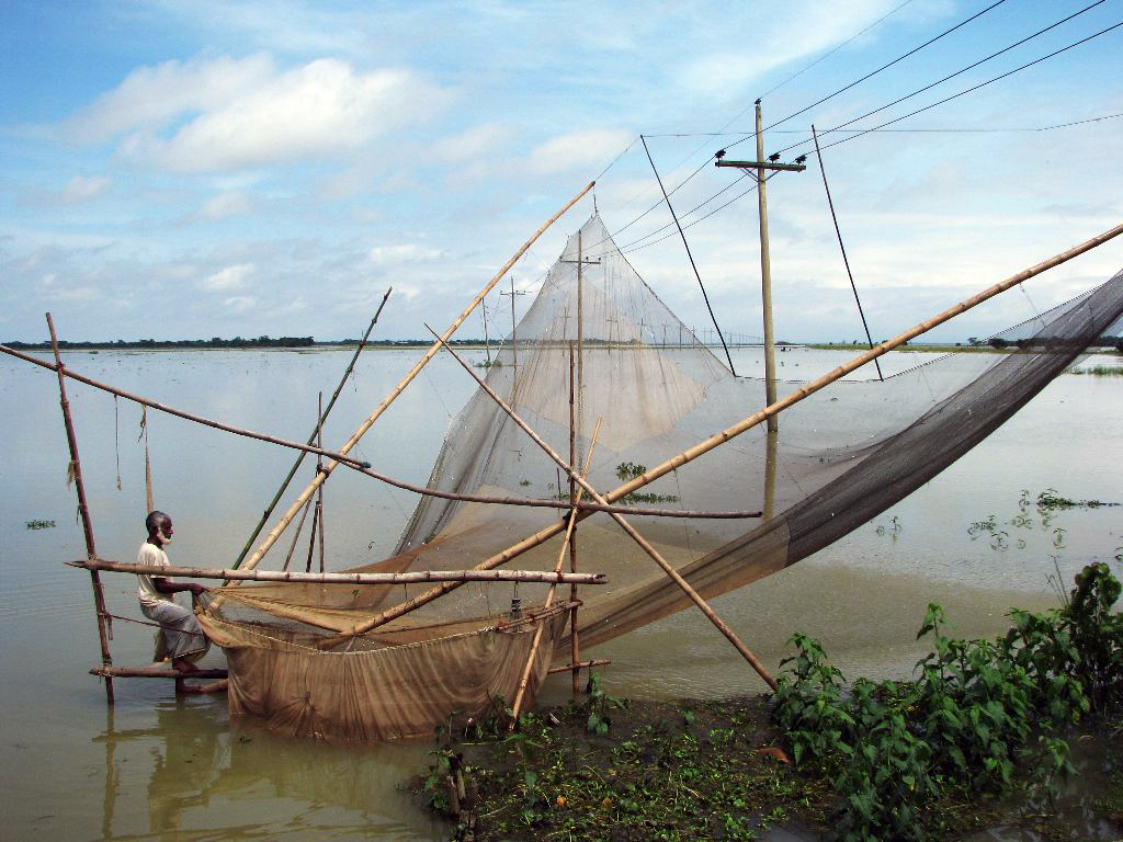 Fishing by veshal jal (large lift net), Sunamganj, Banglad…