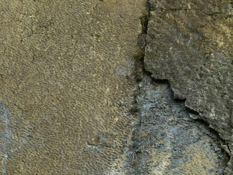 Fossil beach, Wrens Nest