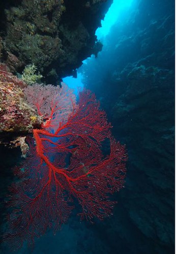 Grande Terre - Nuova Caledonia
