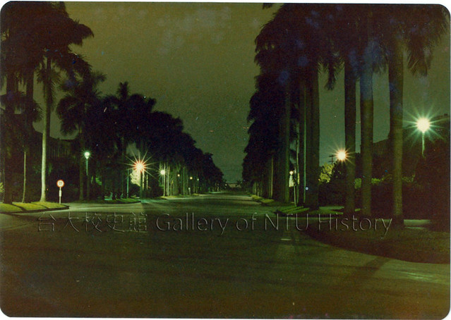 椰林大道夜景，1981