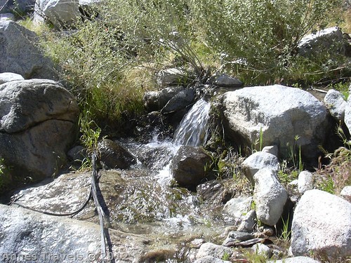 A little stream in Hellhole Canyon, Anza-Borrego Desert State Park, California