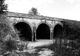 BNSF Railroad Three Arch Bridge over Bullinger Creek, Sealy, Texas 1112111435BW