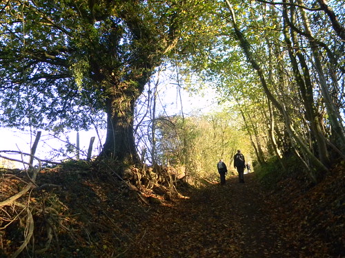 Autumnal bridleway New Addington to Hayes