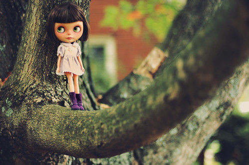 Little Tree Climber - 287/365 ADAD 2011 | by Shannon_Taylor