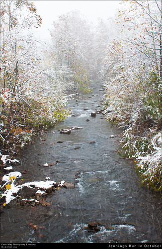 snow color fall nature water leaves creek october stream maryland run environment jennings alleganycounty corriganville canont1i