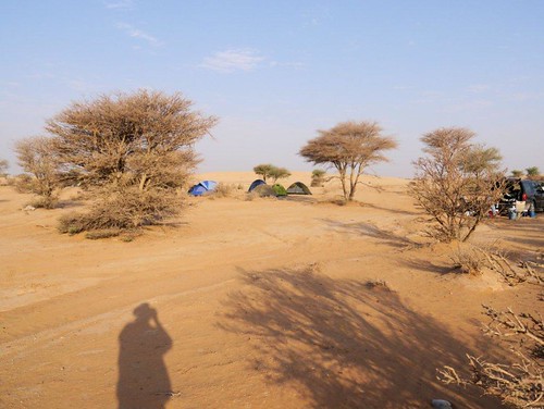desert saudi desertcampout