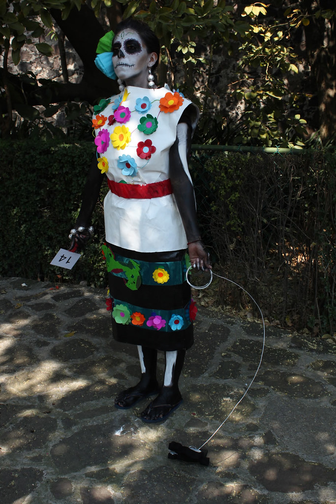 Vestido de cartón | Participante en el Concurso de Disfraces… | Flickr