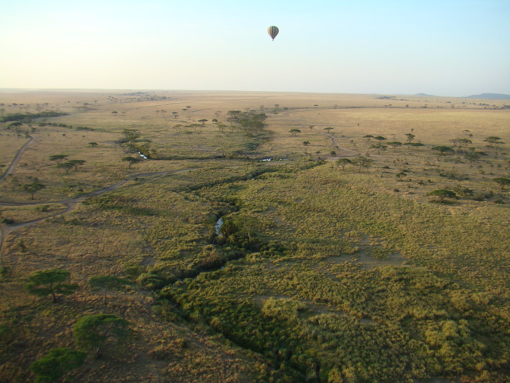 globo en el aire amanecer viaje en globo por el Serengueti Tanzania 09