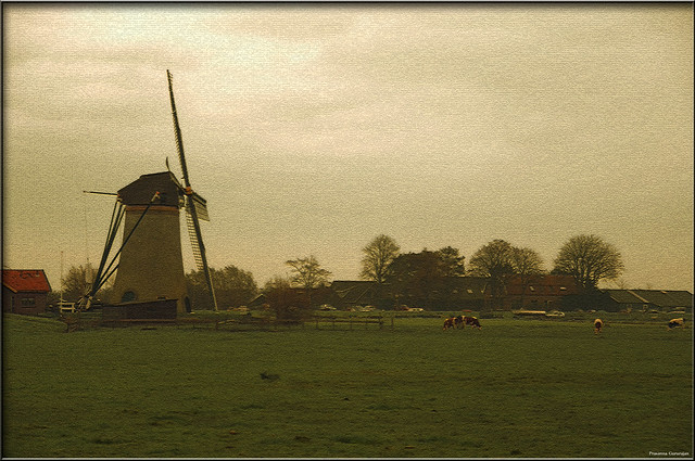 The windmill 10