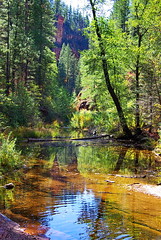 West Fork of Oak Creek - Oak Creek Canyon - Sedona