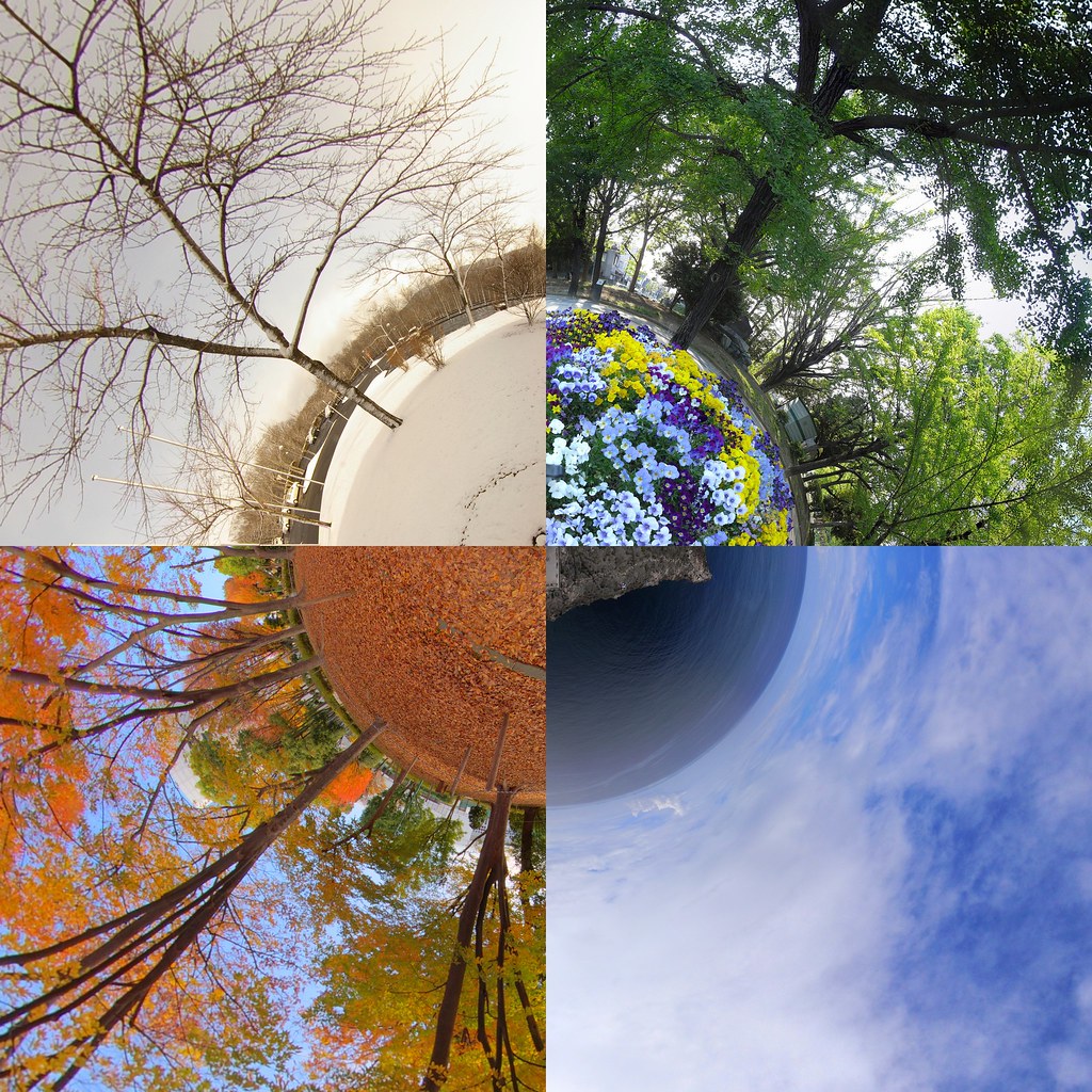 Four seasons in Japan - Winter: Zao www.flickr.com/photos/vi… - Flickr