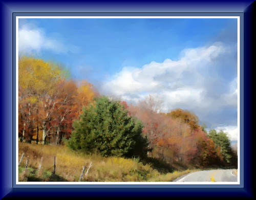 View down the road - autumn | by edenseekr