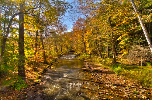 ohio fall colors oct youngstown millcreekpark nikond90 nikon1224mmlens 3shotbrkt